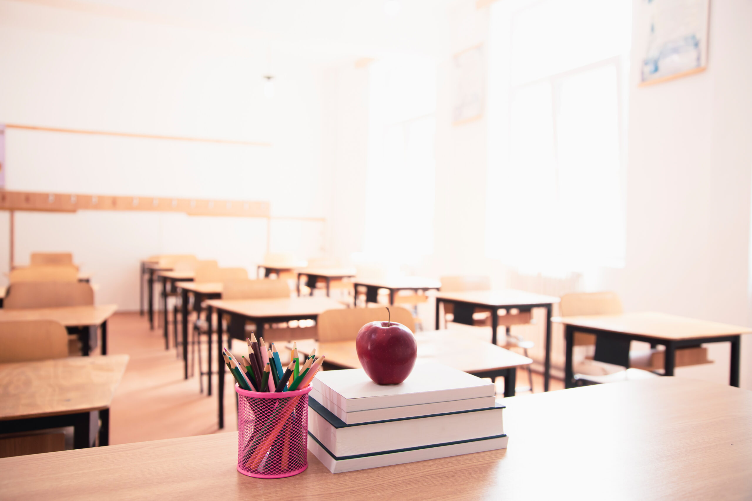 best primary school in greater noida west