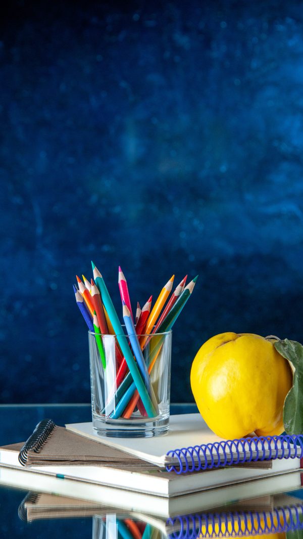 best cbse school in greater noida west